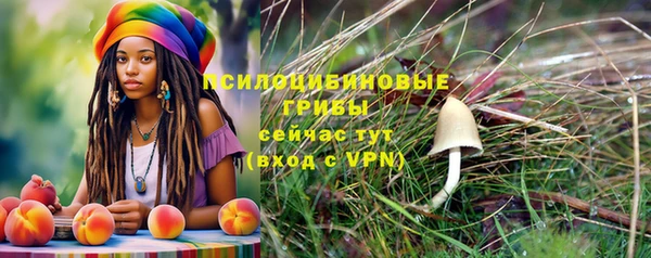 каннабис Лабытнанги