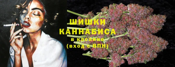 дмт Лагань