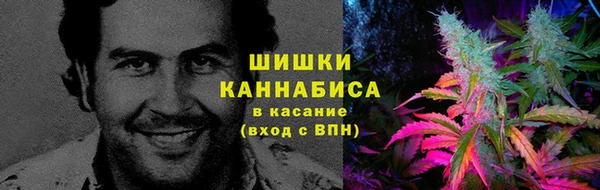 дмт Лагань
