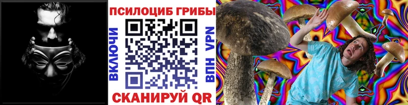 мориарти наркотические препараты  где продают   Тулун  Псилоцибиновые грибы ЛСД 