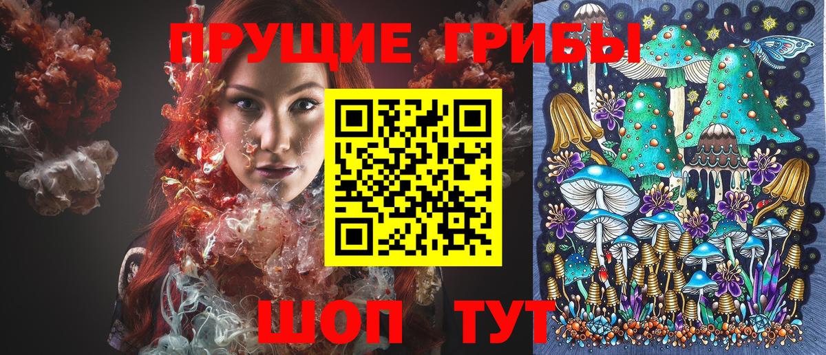 Псилоцибиновые грибы Cubensis  Вход с VPN  Тулун  купить закладку  Галлюциногенные грибы Magic Shrooms 
